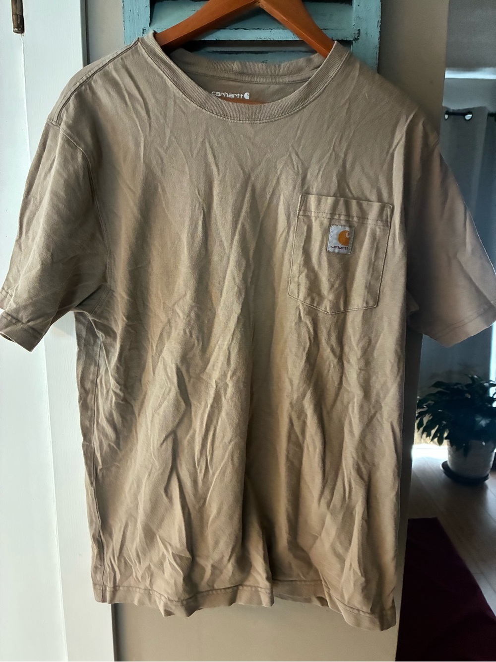 Carhartt Loose Fit Crewneck Tee in Khaki Brown